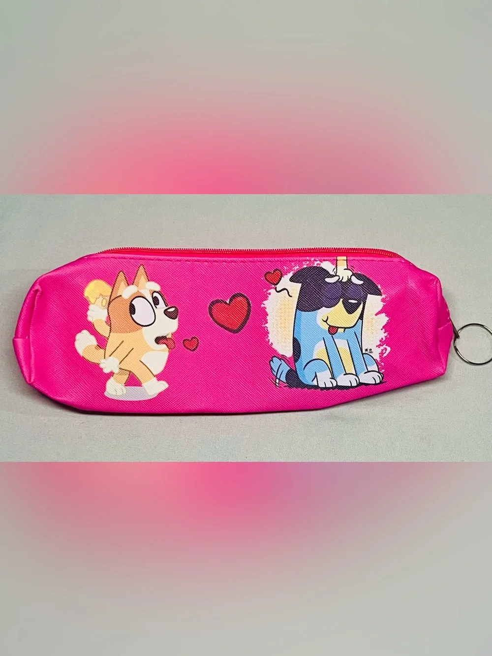 Bluey Case  6 Pack- Assorted Colors